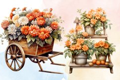 Chrysanthemums Flowers Sublimation Bundle, Chrysanthemums Fl Product Image 4