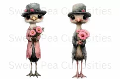 Birds, Ostrich, Ephemera, PNG, watercolor, Clipart Product Image 3