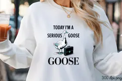 TODAY I'M A SERIOUS PNG, Vintage Silly Goose Sublimatio Product Image 3