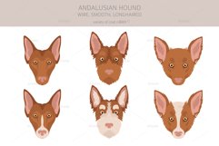 Andalusian Hound clipart Product Image 3
