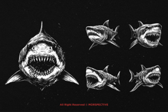 10 Bundle Dark Art Megalodon Fish Shark Ancient Animal Skull Product Image 5