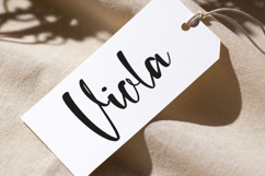 Gals - Handwritten Script Font for Crafting and Branding Product Image 3