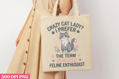 Crazy Cat Lady i Prefer The Term PNG, Funny Animal Jokes Product Image 1
