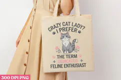 Crazy Cat Lady i Prefer The Term PNG, Funny Animal Jokes Product Image 1