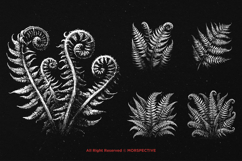 10 Bundle Dark Art Fern Plant Wild Leaf Botanical Horror Product Image 5