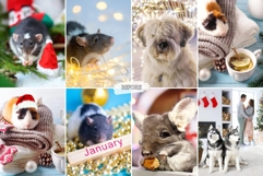 10 Snowy Pawprints Mobile Lightroom Presets Product Image 3