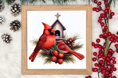 Christmas Cardinal Watercolor Clipart, Christmas Cardinal Product Image 3