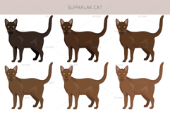 Suphalak cat clipart Product Image 2