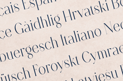 Retro Dream Elegant Modern Serif Font Product Image 3