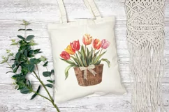 Watercolor Tulips Illustration, Flower Basket PNG, Tulip PNG Product Image 3