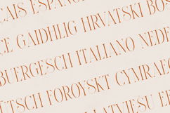 Maturation Elegant High-Contrast Serif Font Product Image 3