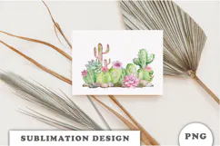 Watercolor Cactus and Succulents PNG Product Image 3