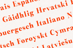 Preta Editorial Serif Font Family Product Image 3