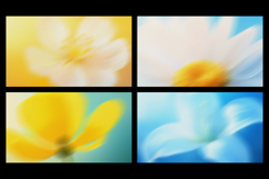 Airy Floral Bloom Soft Backgrounds Product Image 3