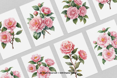 15 Bundle Watercolor Camelia Flower Pink Botanical Japanese Product Image 3