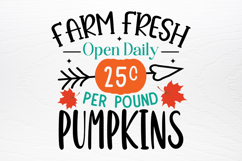 Pumpkin Designs SVG Product Image 3
