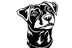 Jack-russell terrier/Dog Svg/Png/Jpg/Ai/Vector breed Product Image 3