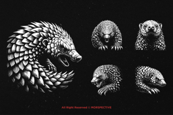10 Bundle Dark Art Pangolin Armadillo Animal Skull Horror Product Image 5
