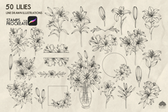 Lily flowers Procreate stamp brushes Product Image 3