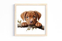 Breeds Of Peeking Dogs Collection Clipart Product Image 1