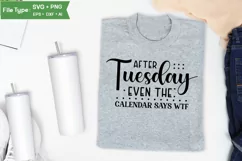 After Tuesday Even The Calendar Says Wtf SVG Cut File Product Image 3