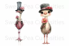 Birds, Ostrich, Ephemera, PNG, watercolor, Clipart Product Image 3