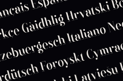 Black Goose Elegant Modern Serif Font Product Image 3