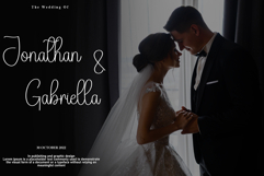 Butterfly Product Image 3