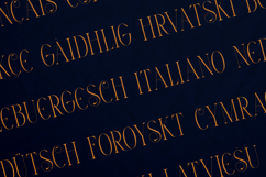 Thorn &amp; Tale Elegant Decorative Serif Font Product Image 3