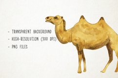 Watercolor Desert Clipart, Arabian Clipart, Moroccan Clipart Product Image 3