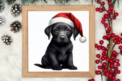 Christmas Dogs Sublimation Clipart, Christmas Dog Clipart Product Image 3