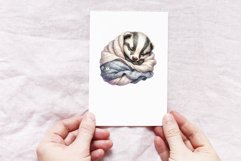 Baby Badger Product Image 4