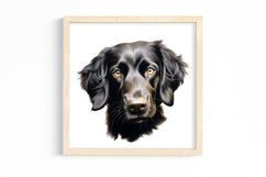 Peeking Dog Collection Clipart Product Image 1