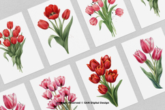 15 Bundle Watercolor Tulips Flower Botanical Painting Spring Product Image 3