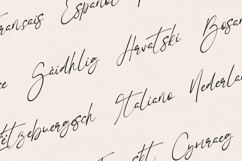 Mirage Elegant Signature Script Font Product Image 3