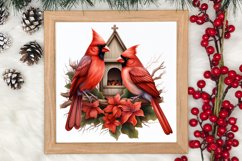 Christmas Cardinal Watercolor Clipart, Christmas Cardinal Product Image 3