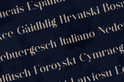 Quillin Serif Elegant Modern Editorial Typeface Product Image 3