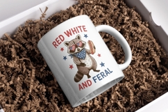 Vintage 4th of July PNG Bundle Product Image 4