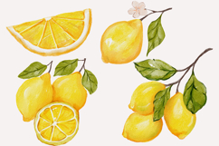 Watercolor lemon clipart png hand drawn Product Image 3