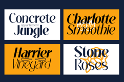 Mochira - Stylish Variable Font Product Image 3