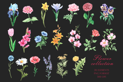 Blooming flowers watercolor clipart. Wildflowers Product Image 1