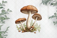 Aquarelle Pastel Mushroom Sublimation Product Image 1