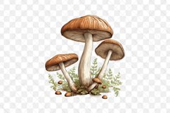 Aquarelle Pastel Mushroom Sublimation Product Image 2