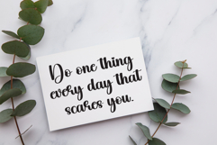 Delight Product Image 3