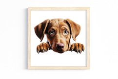 Breeds Of Peeking Dogs Collection Product Image 3