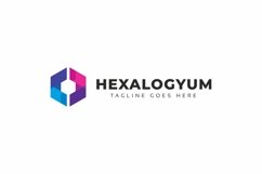 Hexagon Colorful Flat Logo Product Image 3