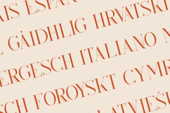 Kindel Elegant Display Serif Product Image 3