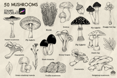 Mushrooms Procreate stamp brushes Product Image 3