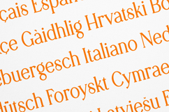 Retro Dream Elegant Vintage Serif Font Product Image 3