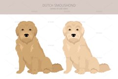 Dutch Smoushond clipart Product Image 2